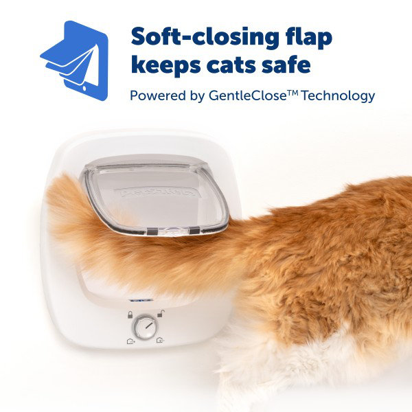View of PetSafe® PetSafe Big Cat Door – Interior and Exterior Pet Door for Cats ...